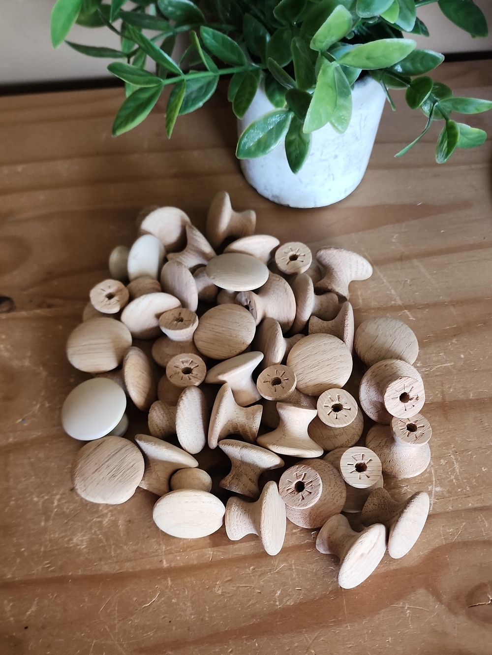 40 Natural Wood Drawer Knobs